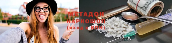 прущие грибы Алзамай