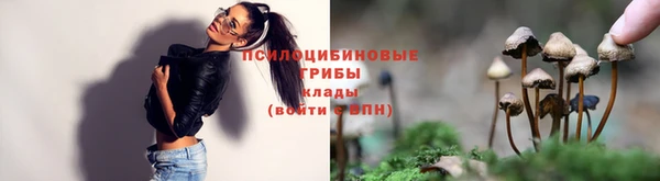 таблы Алексин