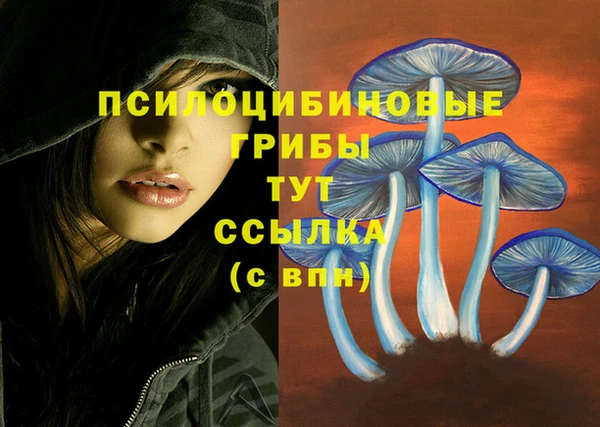 мяу мяу кристалл Алексеевка