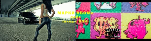 прущие грибы Алзамай
