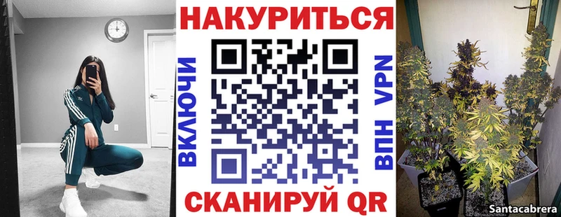 shop официальный сайт  Шали  Бошки марихуана сатива 